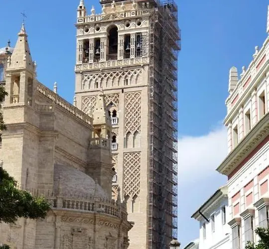 Budget And Lovely Setas Apartmán *