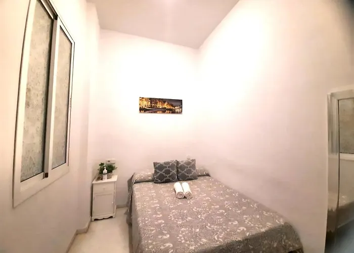 Budget And Lovely Setas *