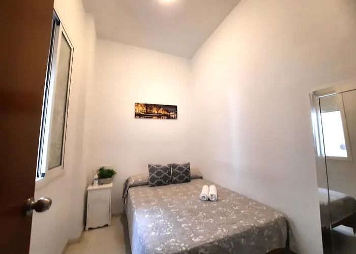 Budget And Lovely Setas *