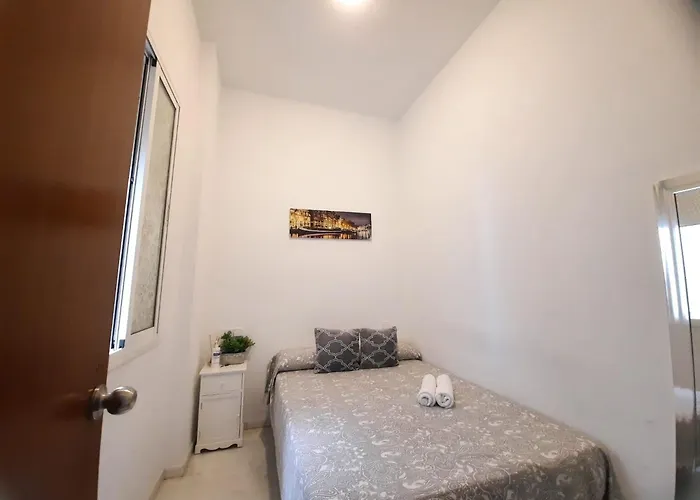 Budget And Lovely Setas