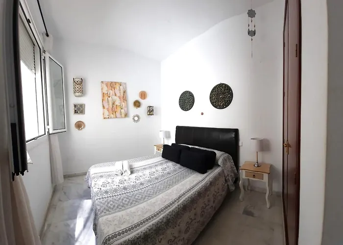 Budget And Lovely Setas