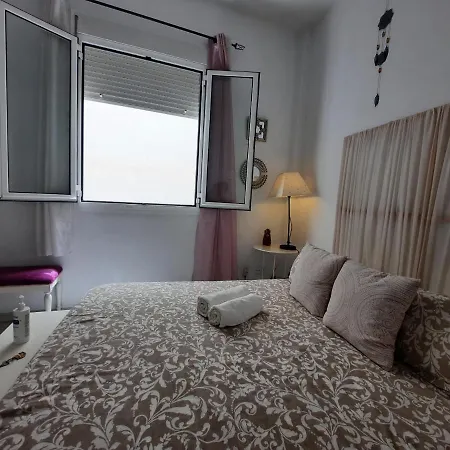 Budget And Lovely Setas *