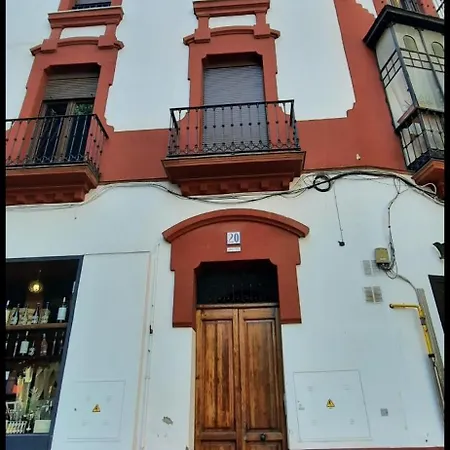 Budget And Lovely Setas *