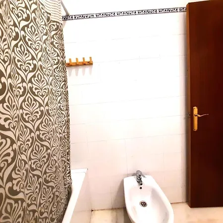 Budget And Lovely Setas *